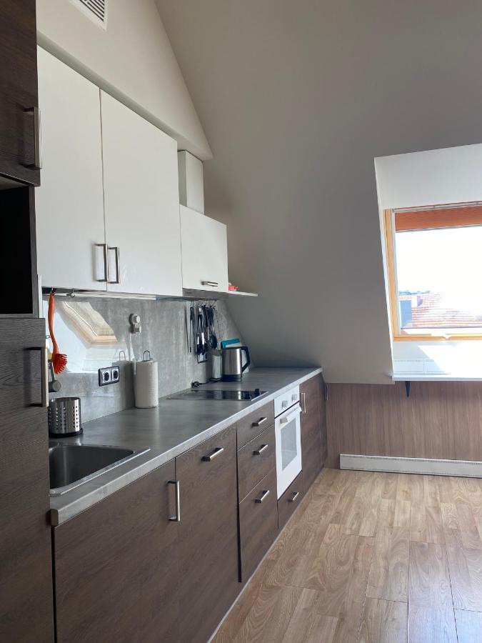 Old Town View Apartment Вильнюс Экстерьер фото